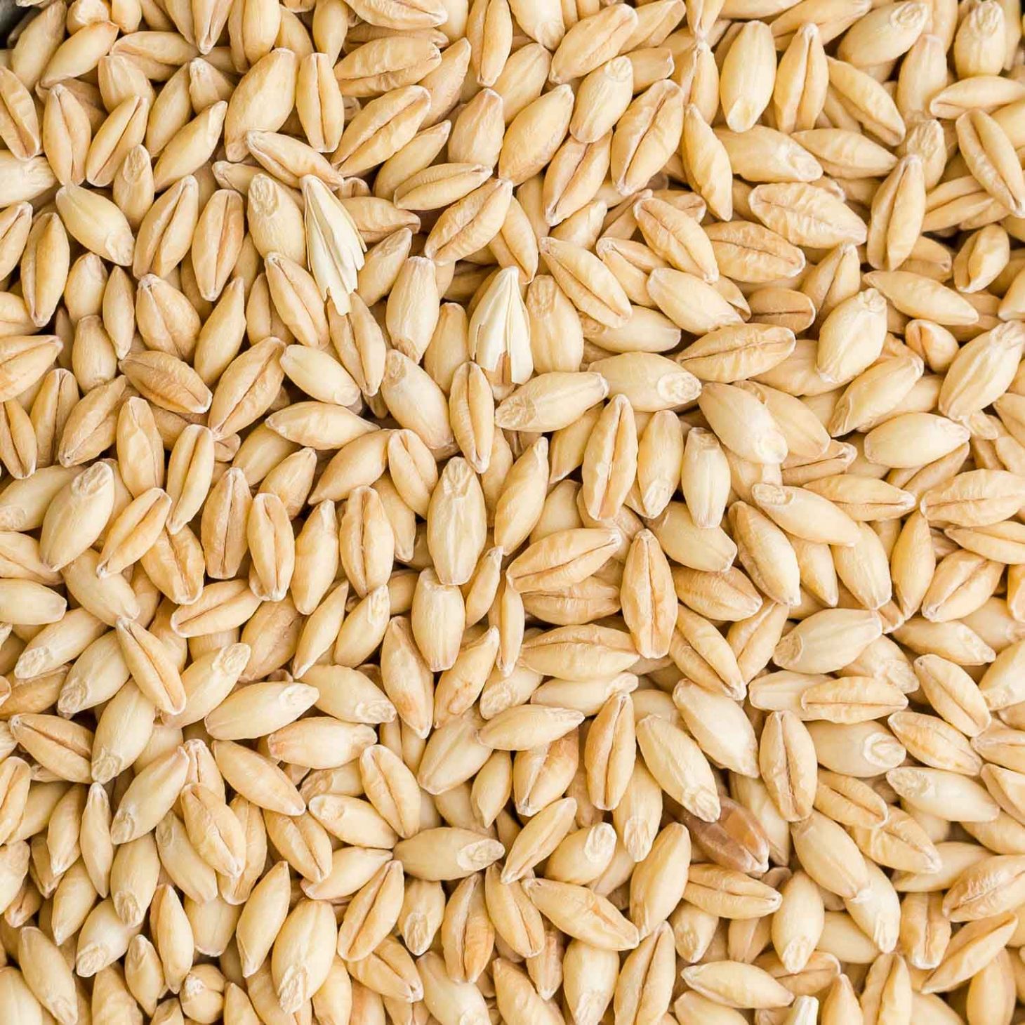 barley (whole grain) 2kg