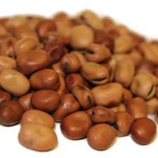 fava beans 1kg
