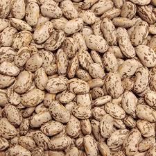 pinto beans 1kg