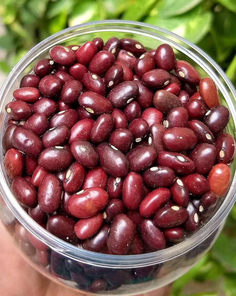kidney beans (rajma) 1kg